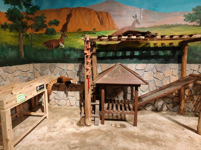 主城周末溜娃好去處｜綠色星球動物園