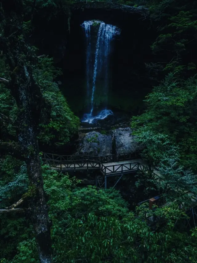 五一避開人潮擁擠！輕徒步至綠野仙蹤秘境