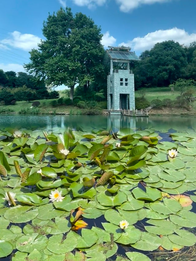 南京小眾打卡地！珍珠泉風景區