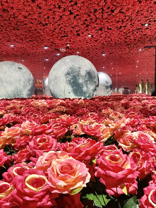 這裡也太美了吧，拍照打卡聖地