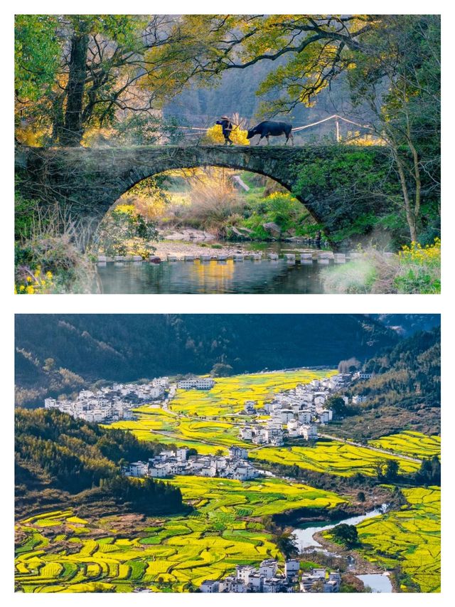 景德鎮的美，在我踏足婺源之後，顯得略顯遜色
