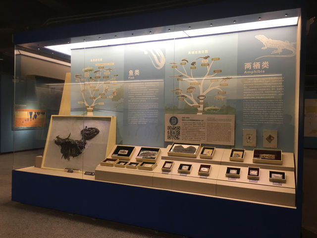 臨朐縣博物館