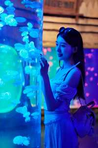 打卡海底世界｜ 探索海洋的的神秘