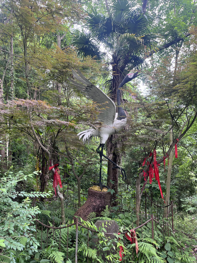 成都仙家重地！見到這隻鶴才算真正去過成都鶴鳴山