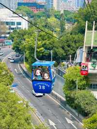 廈門親子1日遊這份路線就夠了～