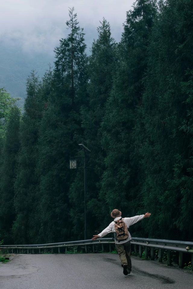 神瀑溝後山