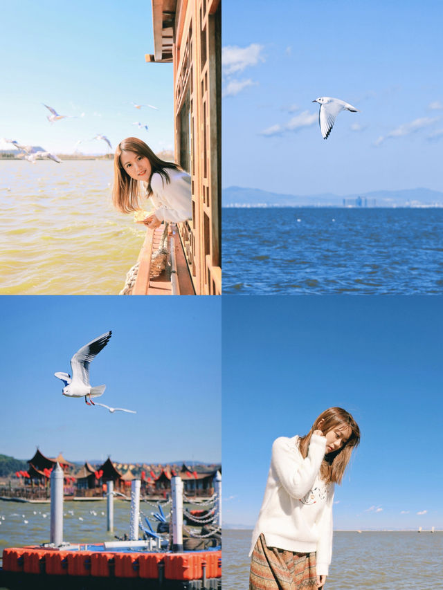 昆明高顏值溫泉來這看海鷗比海埂大壩香