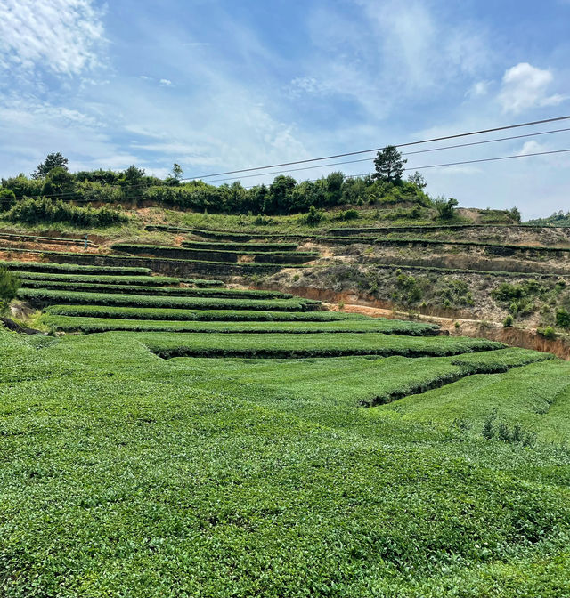 廈門最適合徒步的山村～軍營村