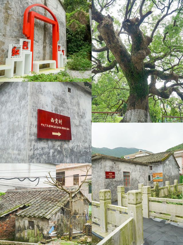 端午出行…兩天一夜南澳之旅