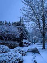 🌨️❄️ Vancouver: A Snowy Paradise Like No Other! 🌨️❄️