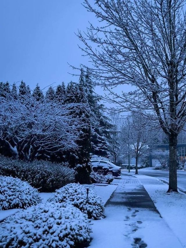🌨️❄️ Vancouver: A Snowy Paradise Like No Other! 🌨️❄️