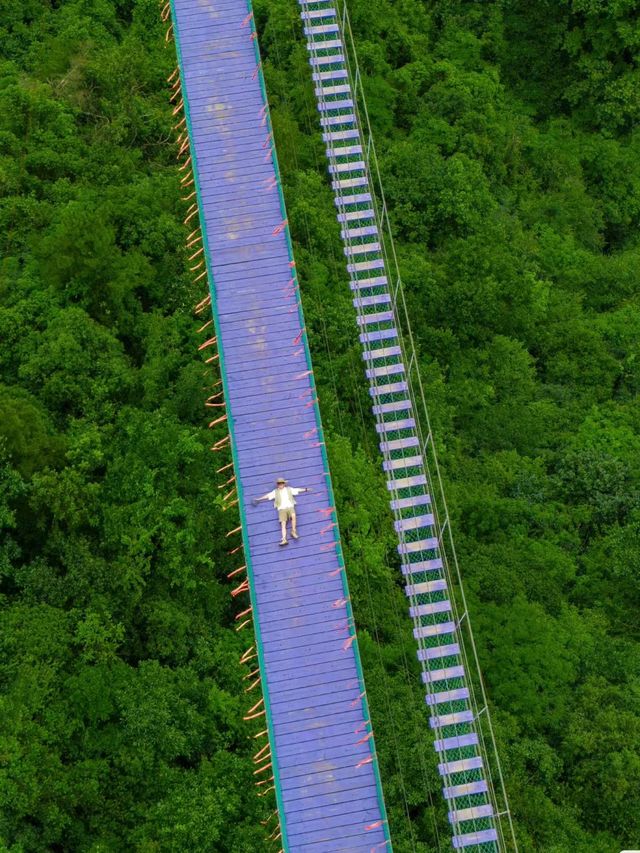 抱歉~我們浙江人爬山都是開飛車