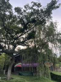 無意間發現的寶藏文字打卡地