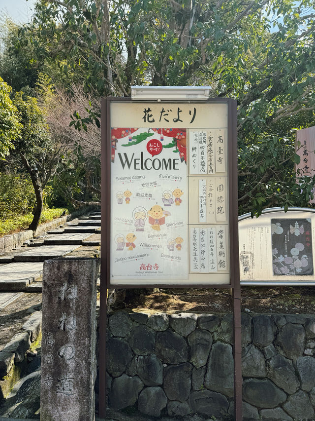 京都｜高台寺•山丘上的華美庭園