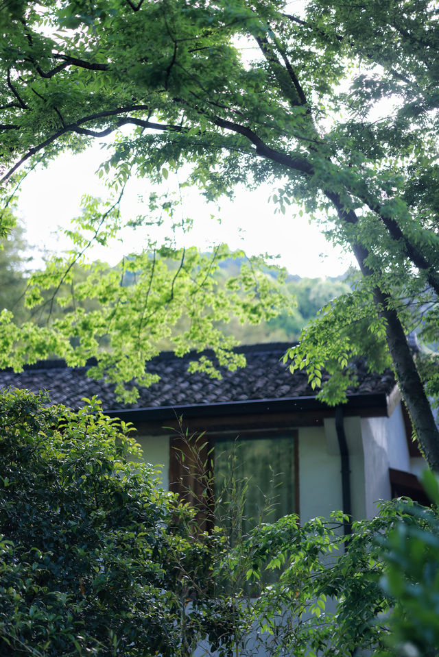 層層疊疊  鬱鬱蔥蔥的度假小屋   西璞