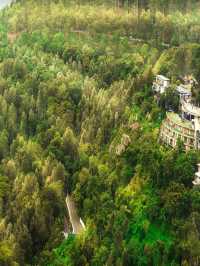 🌟 Yercaud's Hidden Gem: Luxe Stay Amidst Coffee Plantations ☕🍃