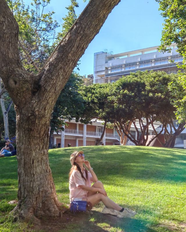 加州大學洛杉磯分校UCLA，不愧是夢中情校
