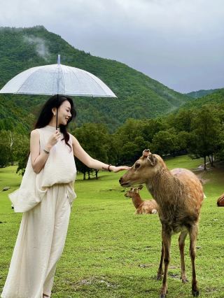Lazy Guide for a Two-Day Trip from Harbin to Jinshan Deer Park is here! Save it quickly, folks
