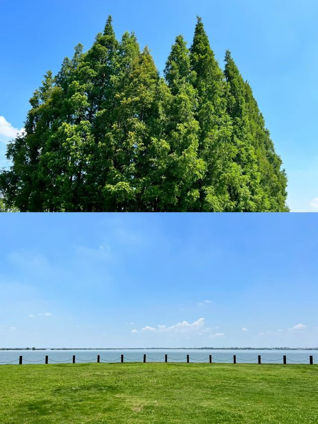 上海蘇州看日落首選地