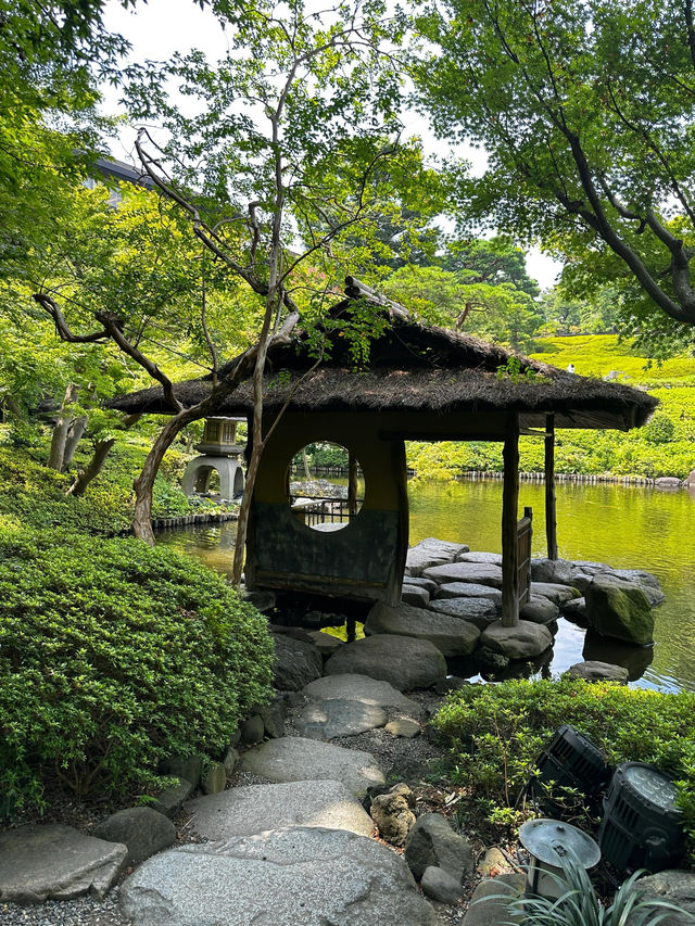 東京小眾景點|最詩意的八芳園
