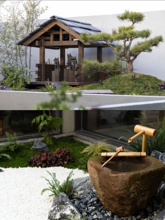 在麗江古城捨不得退房一生一定要去一次
