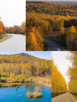 Not Inner Mongolia or Xinjiang, a niche autumn destination.