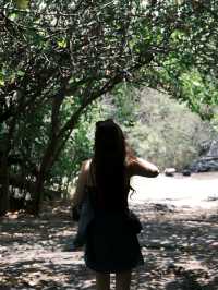 夏威夷的AliiDr擁有這世間所有的浪漫