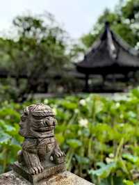 醉白池，上海人都不太熟悉的後花園。
