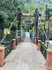 Chamang Waterfall in Bentong 💚 Wonderful Nature 