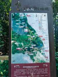 陽台山公園。