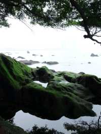 廈門｜鼓浪嶼｜陰天的鼓浪嶼別有風味