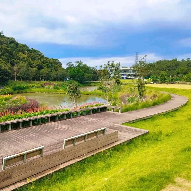 恩上濕地公園郊遊：自然綠洲，感受大自然