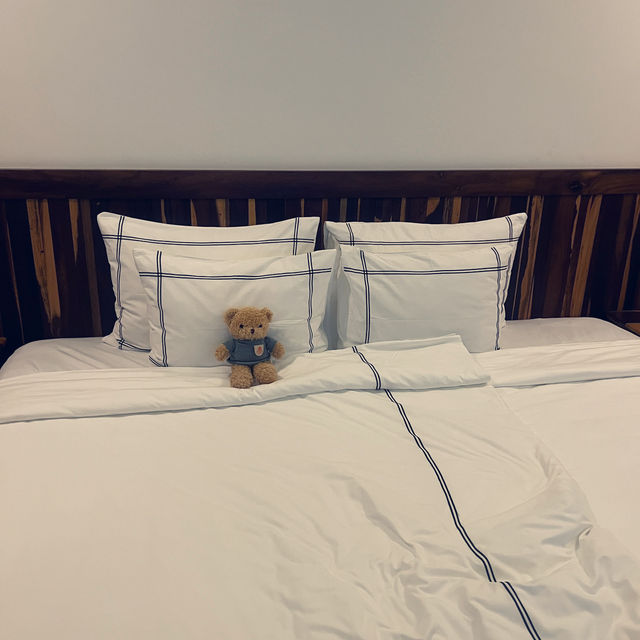 나트랑에서 스노쿨링 할 수 있는 럭셔리 가성비 리조트 알리부리조트 🤿