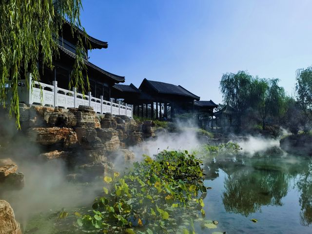 定州新開放的這兩個免費花園拍照太美了。