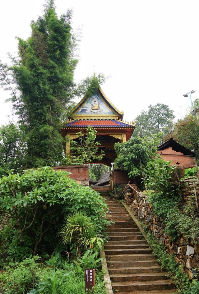 【去不膩的雲南】在景邁山很悠然，在普洱很鬆弛。