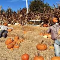 Spooky Halloween Attractions In the Haunted house