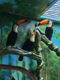 貴州｜森林野生動物園｜充滿自然魅力和野生動物奇觀的地方。