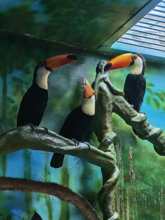 貴州｜森林野生動物園｜充滿自然魅力和野生動物奇觀的地方。