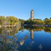 天津最大公園：寧園（初秋好去處）。