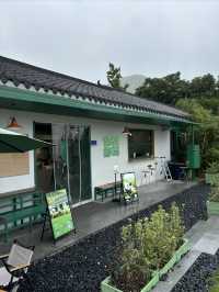 逃離上海丨住進山裡泡湯發呆盪鞦韆。
