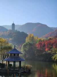 濟南紅葉谷 | 打翻秋日調色盤。