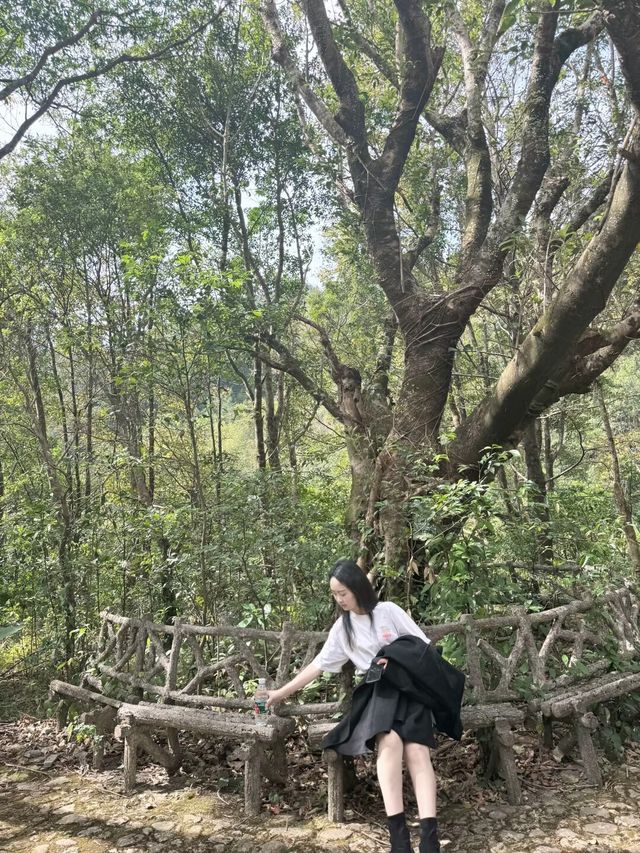今年為止，我最喜歡的旅遊城市出現了。
