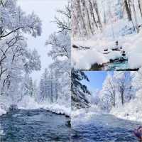 賞冰玩雪，東北冰雪奇緣 。