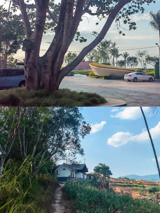 普洱梅子湖公園。