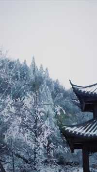 南天湖景區門票只需58元嗎？。