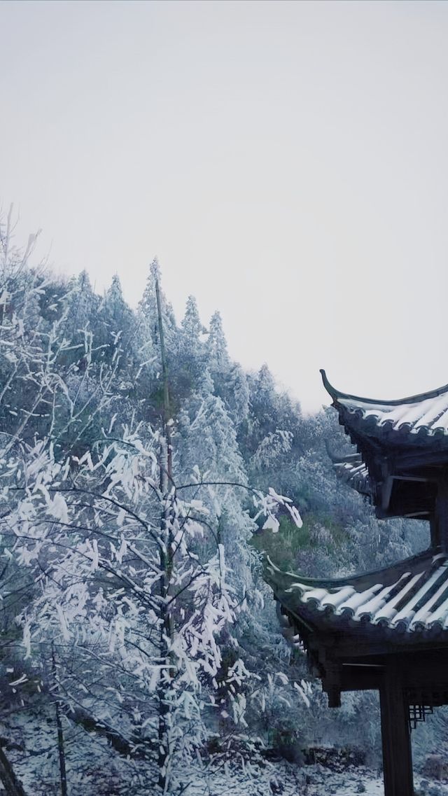 南天湖景區門票只需58元嗎？。