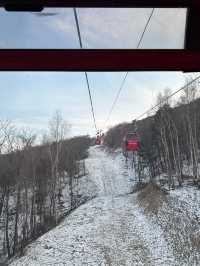 吉林北大湖|這粉雪，誰頂得住！。