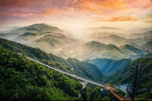 樹林與山。