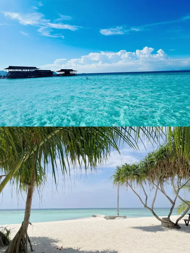 6-Day Malaysia Tour: Visa-Free, Direct Flights, and Ready to Go!