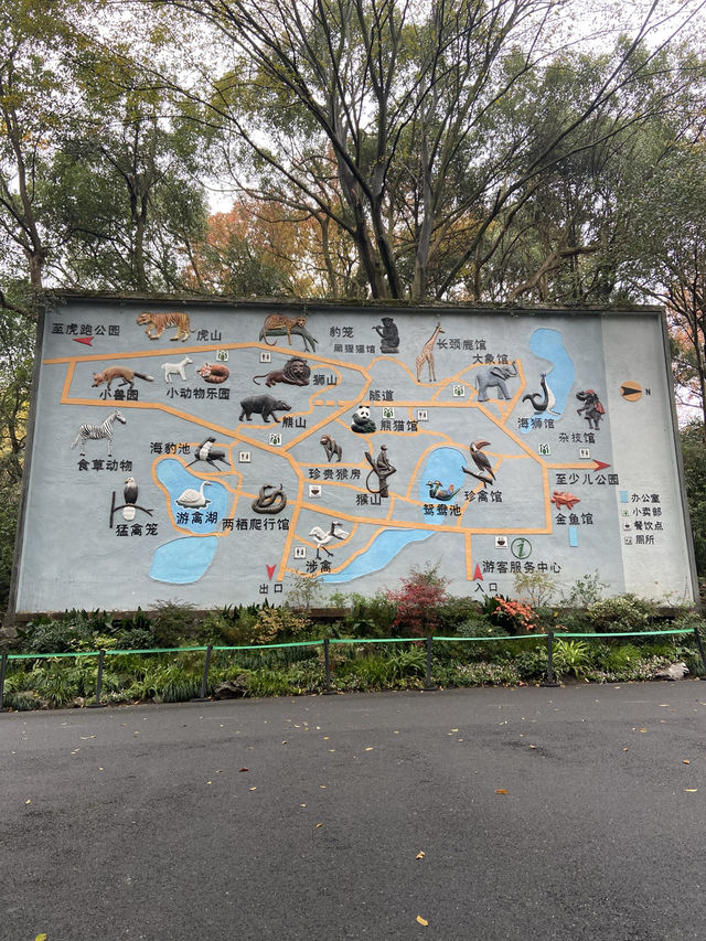🐘🦒杭州動物園|又去看動物了🥳